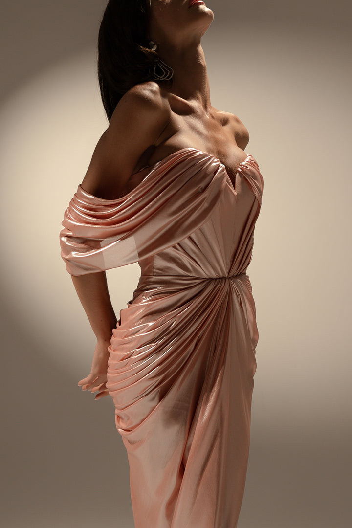 Anisa Long Dress In Seashell