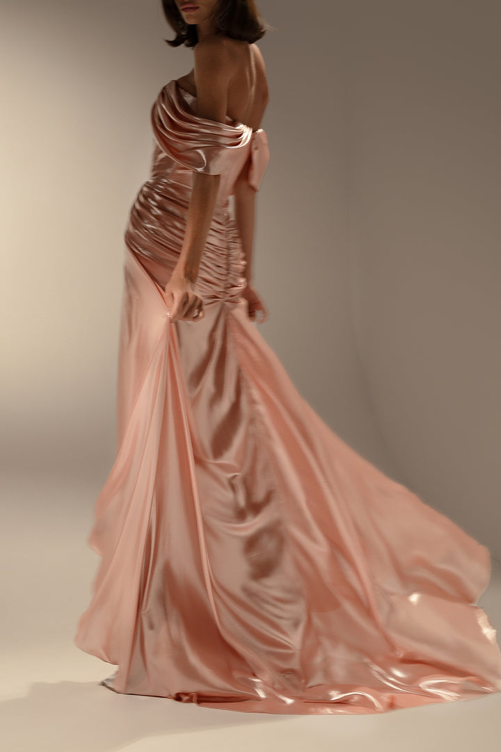 Anisa Long Dress In Seashell